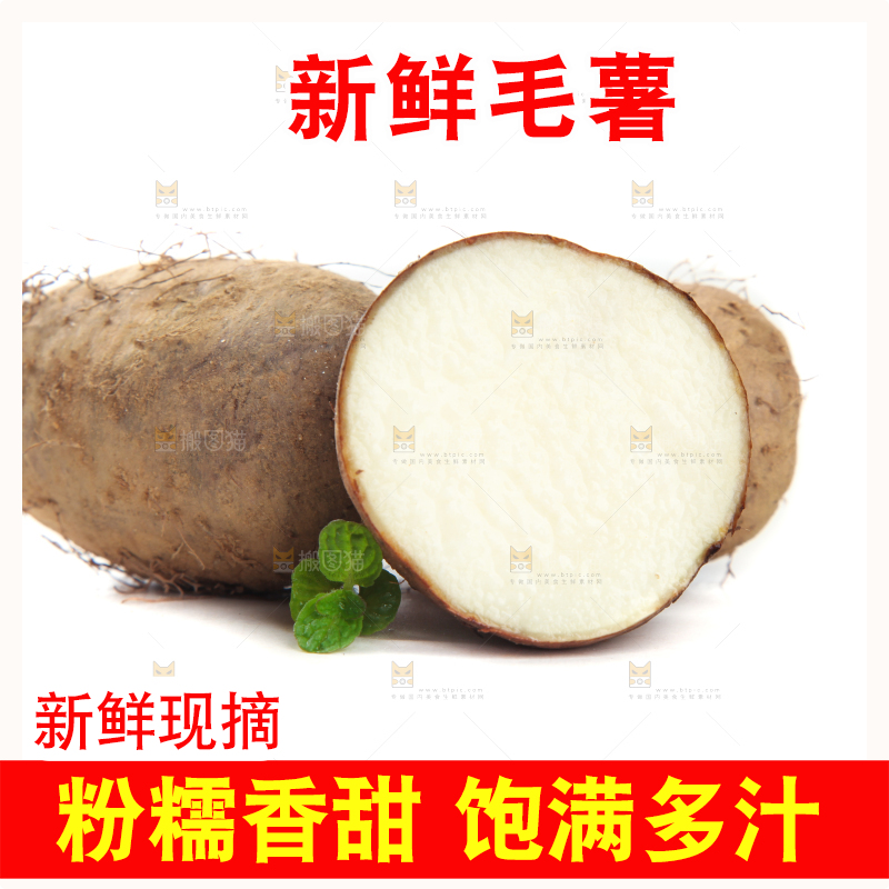 白底上切开的湛江毛薯