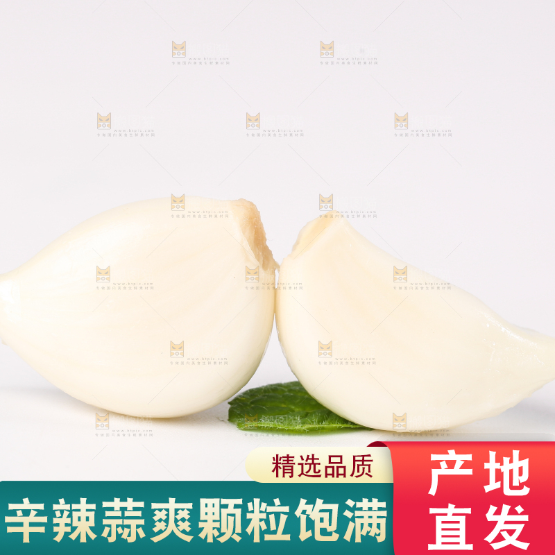 白底上的蒜瓣