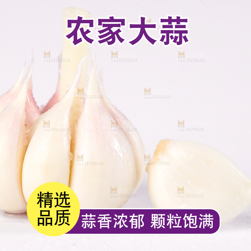 白底上的蒜瓣