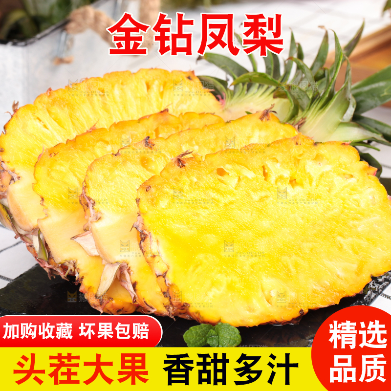 白格子底上的海南金钻凤梨