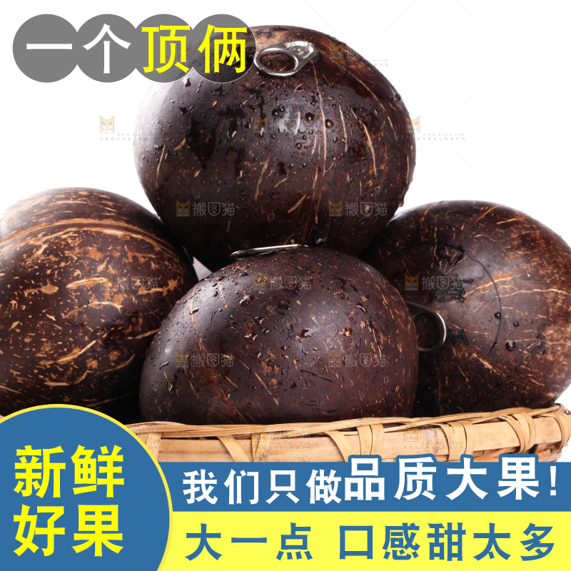 白底上放着海南椰王
