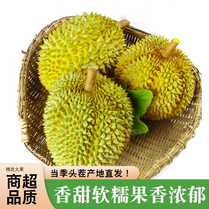 白底上的新鲜榴莲