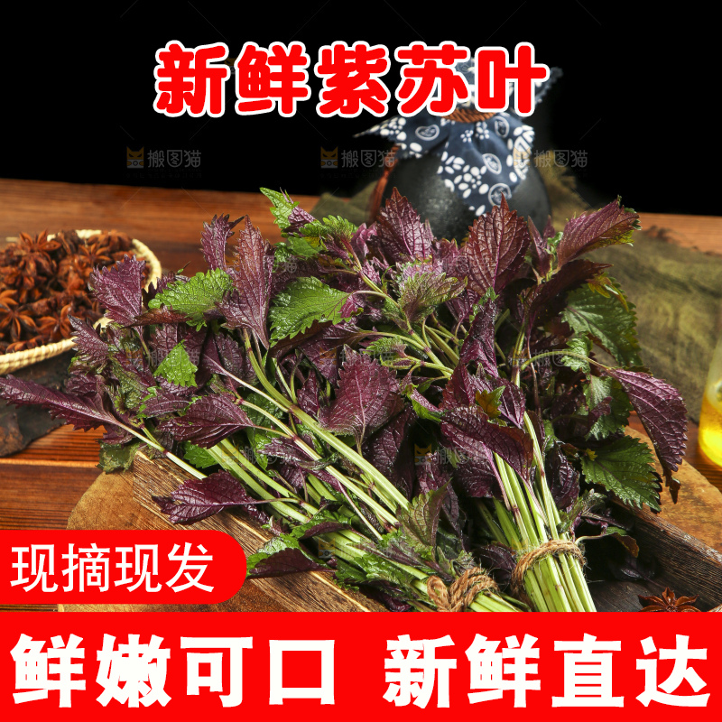 木底上的紫苏叶