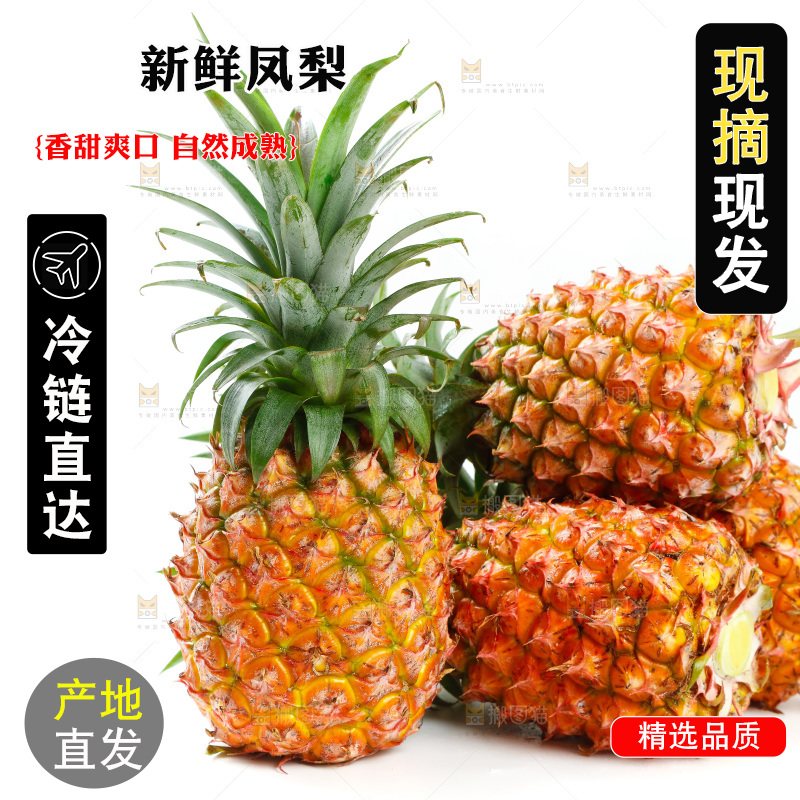 白底上的海南金钻凤梨