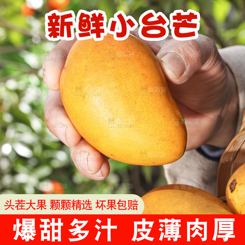 手拿一篮小台芒