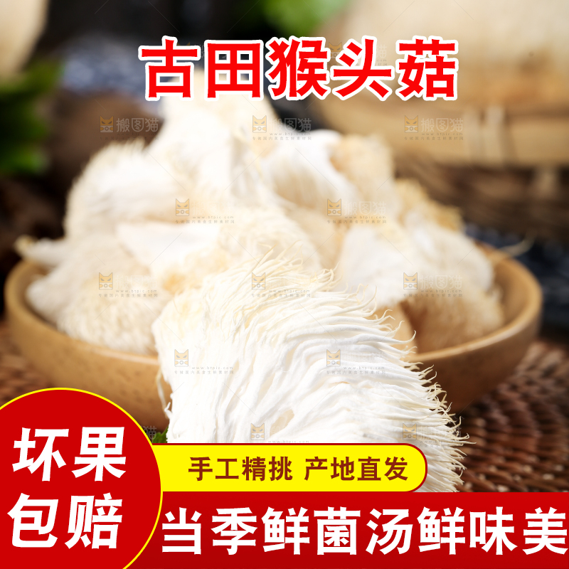 竹底上的云南新鲜猴头菇