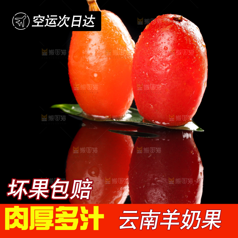 树叶上的羊奶果