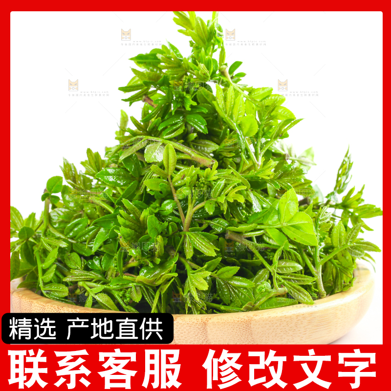 白底上放着一筐野生花椒嫩芽