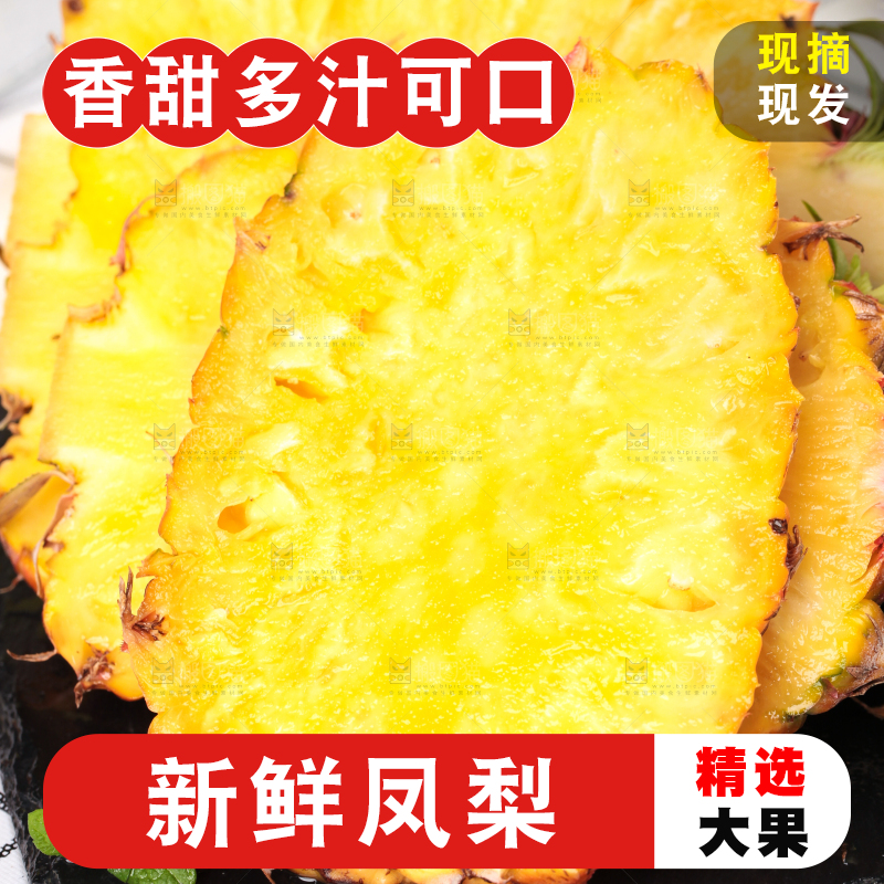 白格子底上的海南金钻凤梨