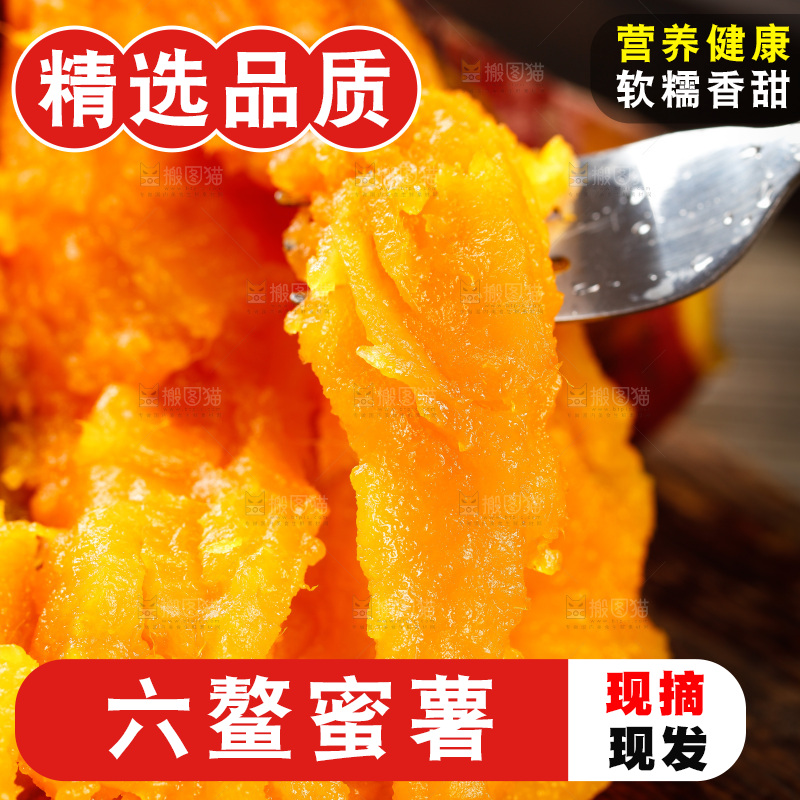 深底上的福建六鳌蜜薯