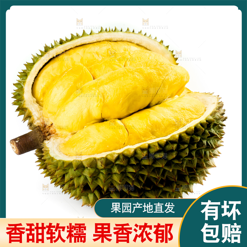 白底上摆放着甲仑榴莲