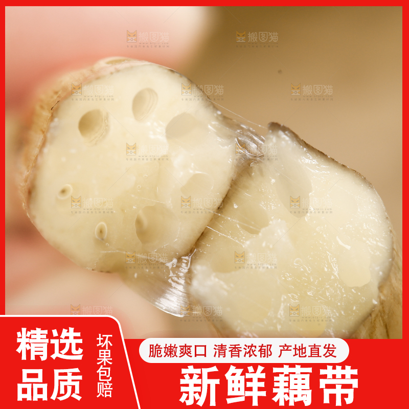 手里拿着藕苗