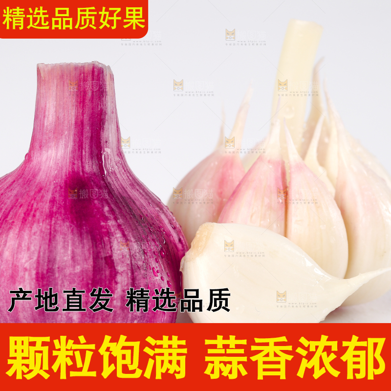 白底上放着大理紫皮多瓣蒜 