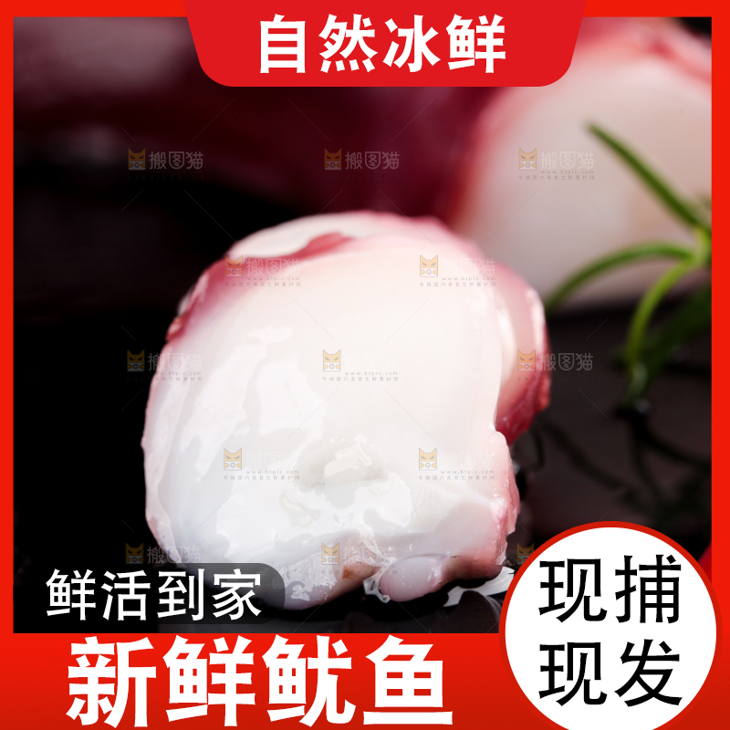 黑石板上的大鱿鱼