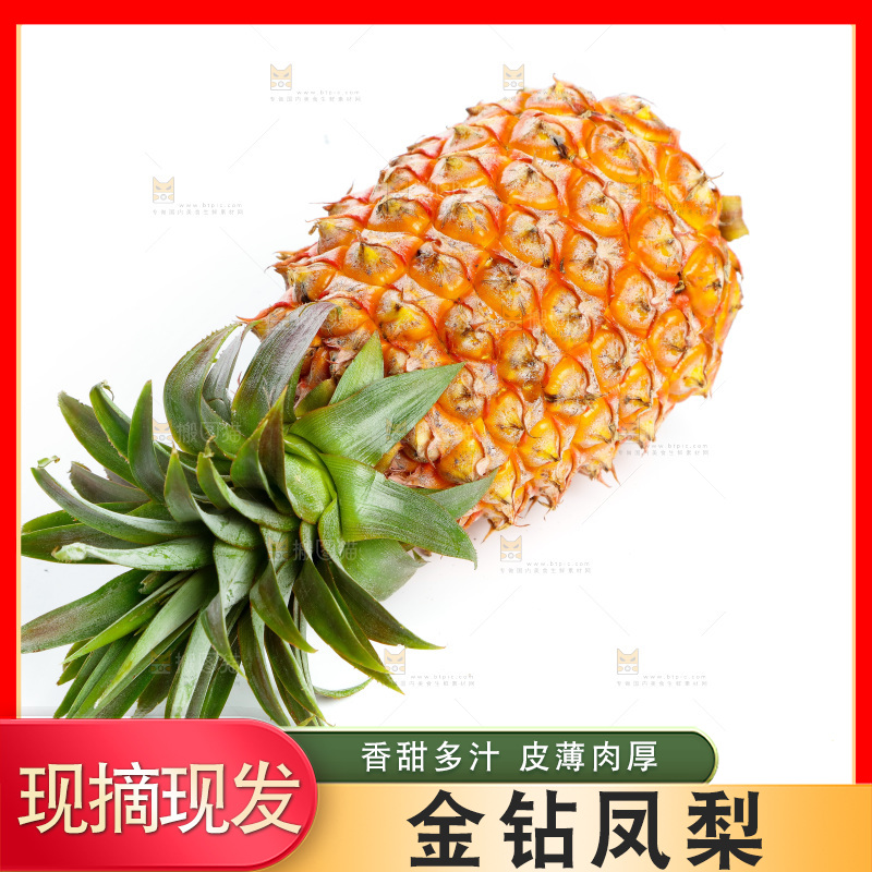白底上的海南金钻凤梨