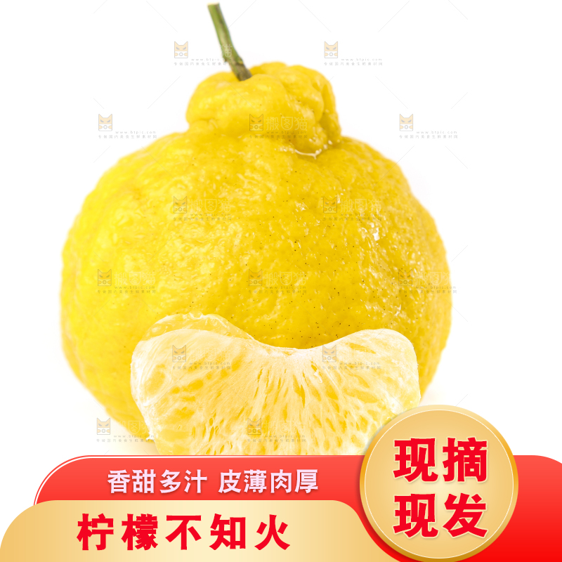 白底上放着四川柠檬不知火