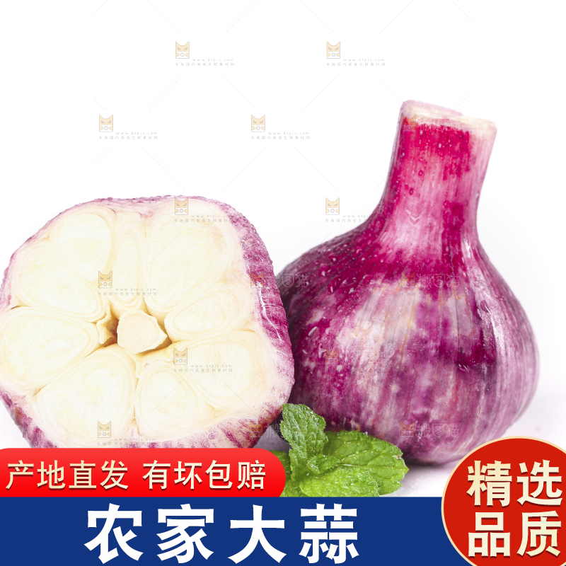 白底上放着紫皮大蒜