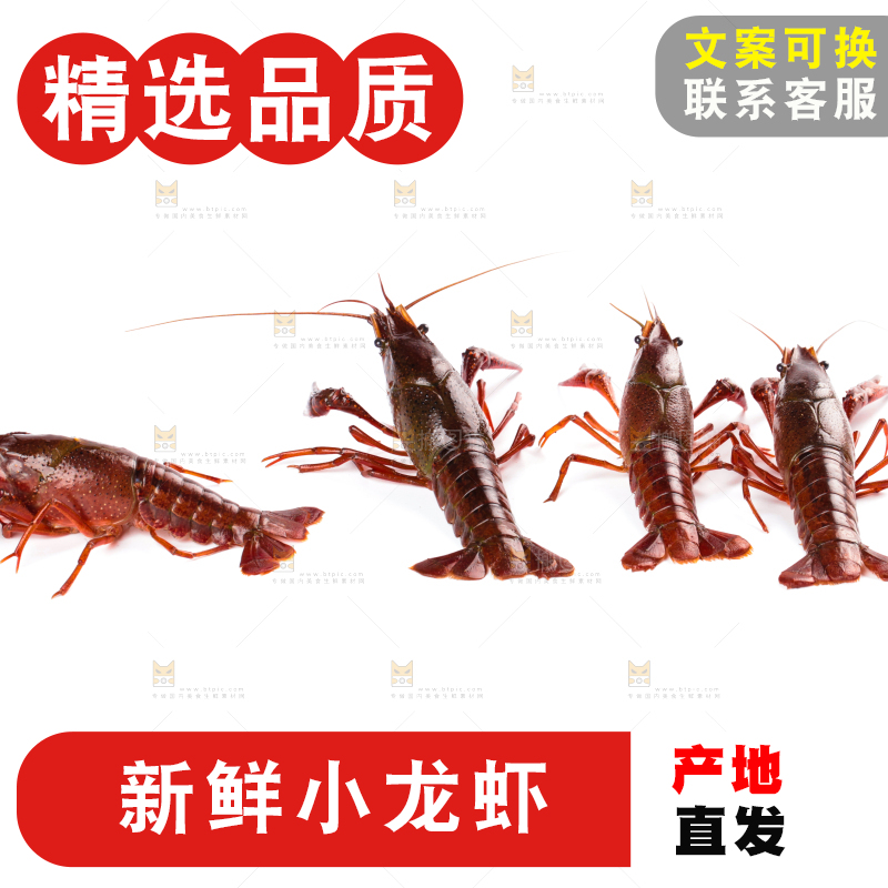 白底上放着潜江小龙虾