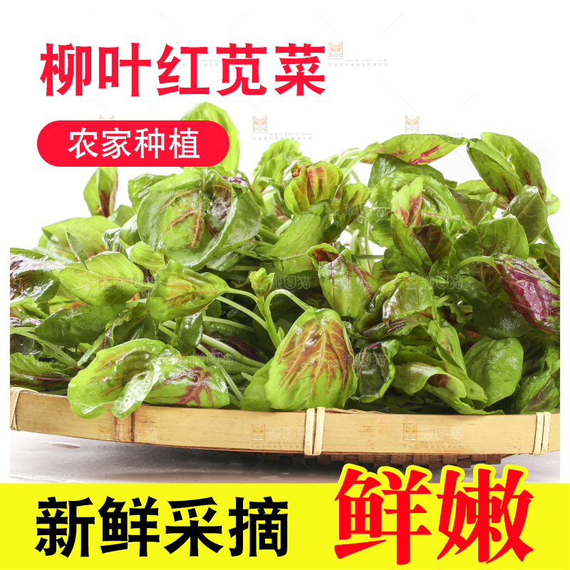 一盘红苋菜放在白底上