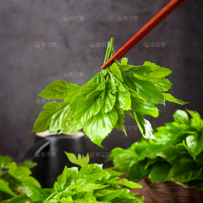 筷子夹着桑叶