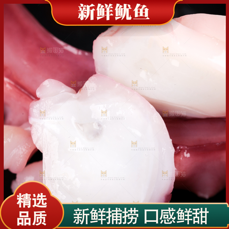 黑石板上的大鱿鱼