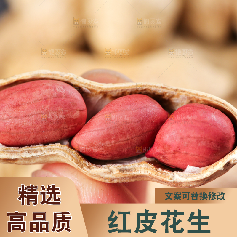 手拿红皮花生