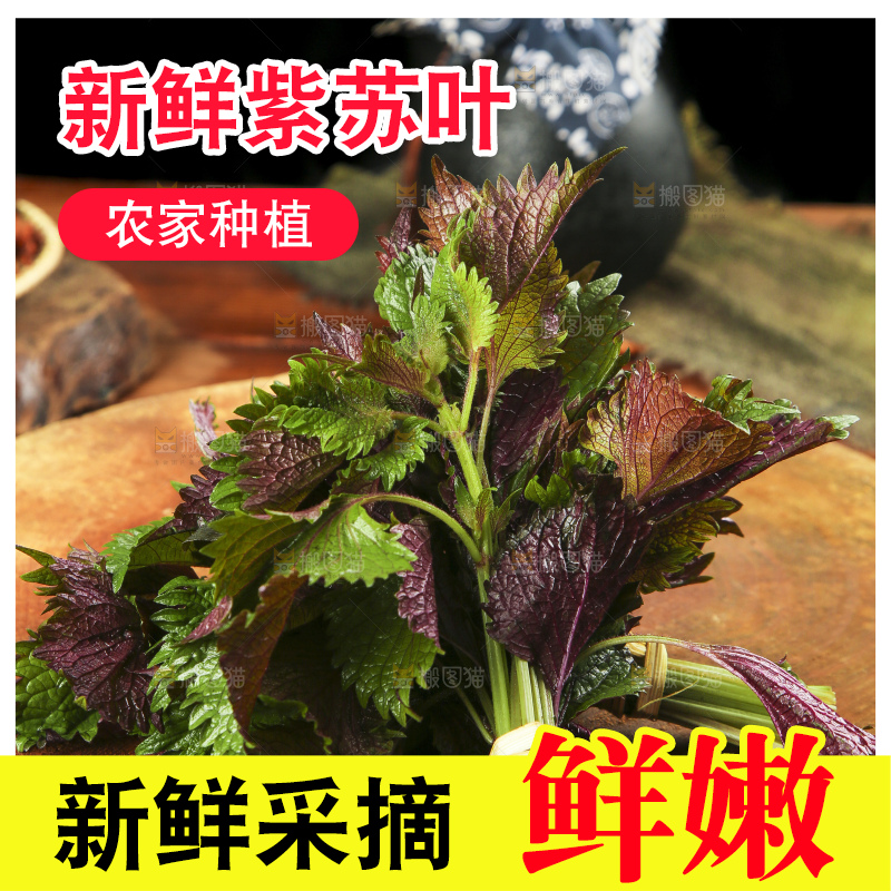 木底上的紫苏叶