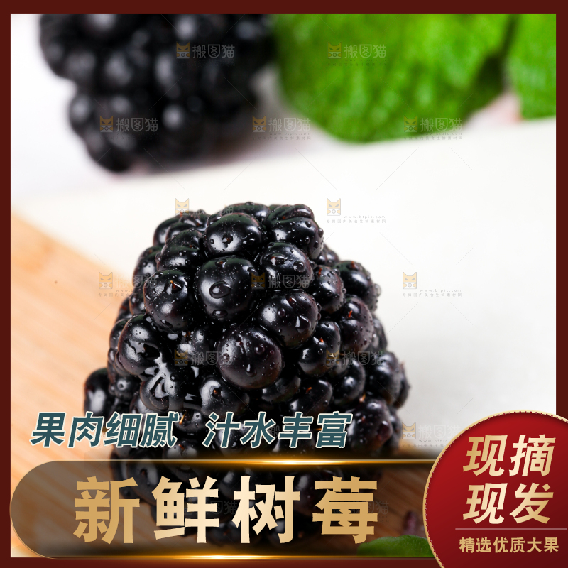 石板上的黑莓鲜果