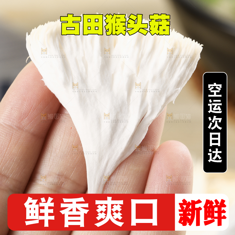 手里拿着新鲜猴头菇