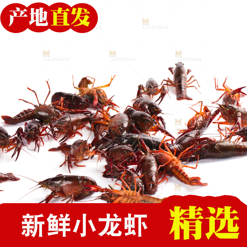 白底上放着潜江小龙虾