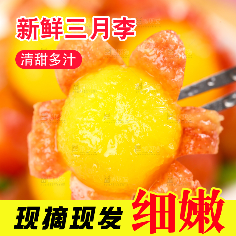 盘子里装着钱排三月李