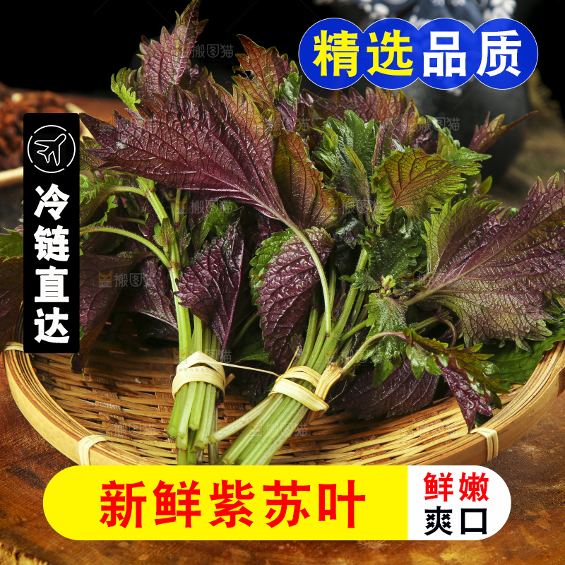 木底上的紫苏叶
