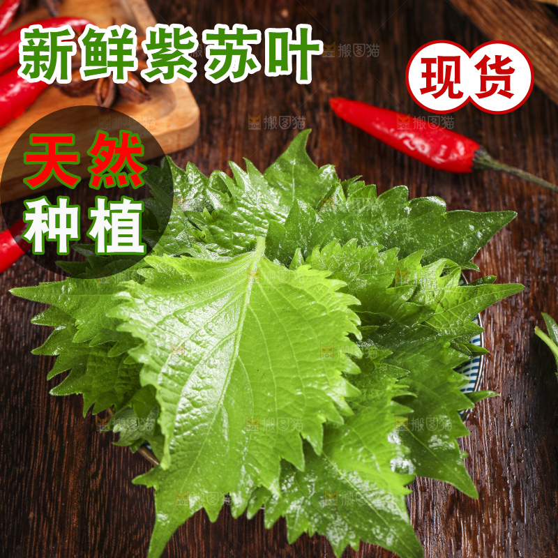 木底上的新鲜紫苏叶