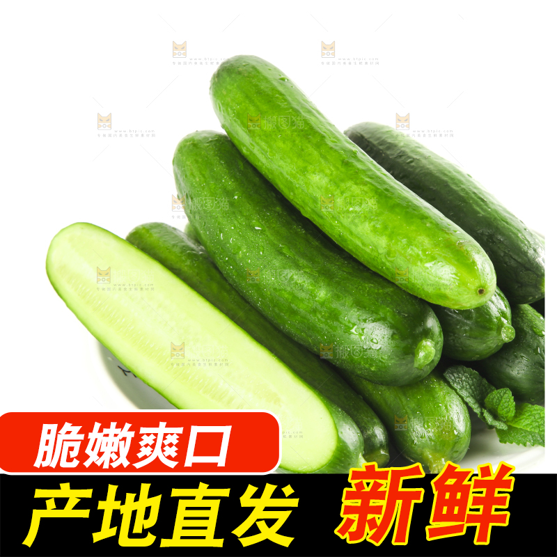 盘子里的无刺小黄瓜