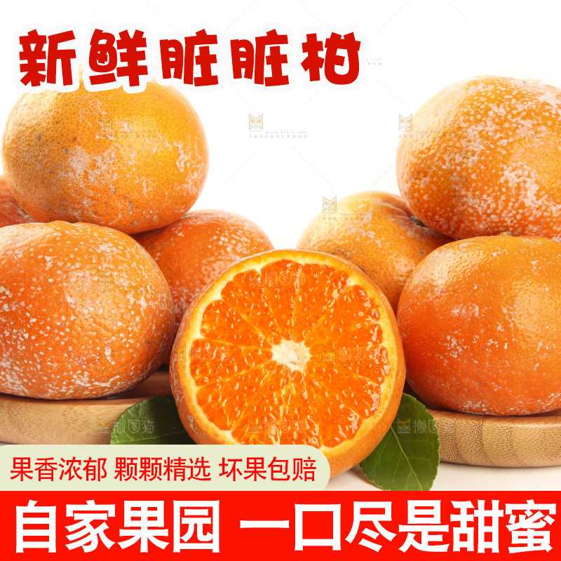 白底上的新鲜茂谷柑