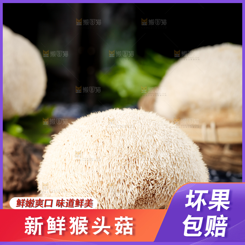 竹底上的云南新鲜猴头菇
