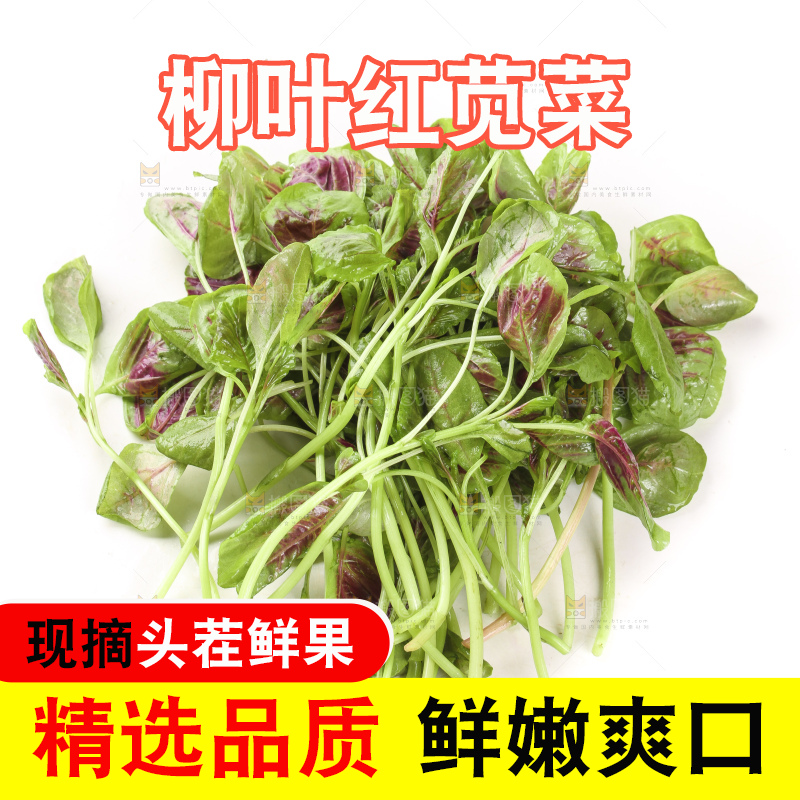 白底上的农家苋菜