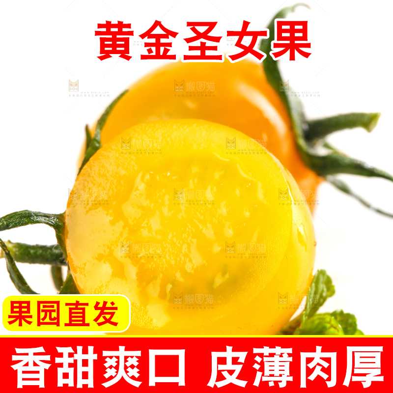 切开的黄金小番茄放在白底上