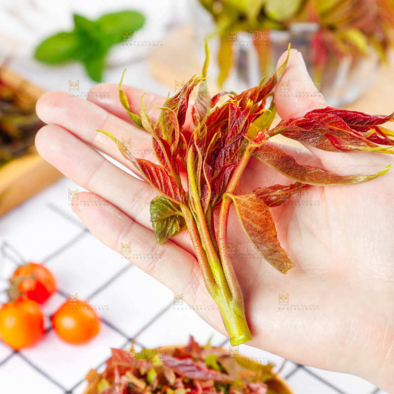 手拿沂蒙山香椿芽