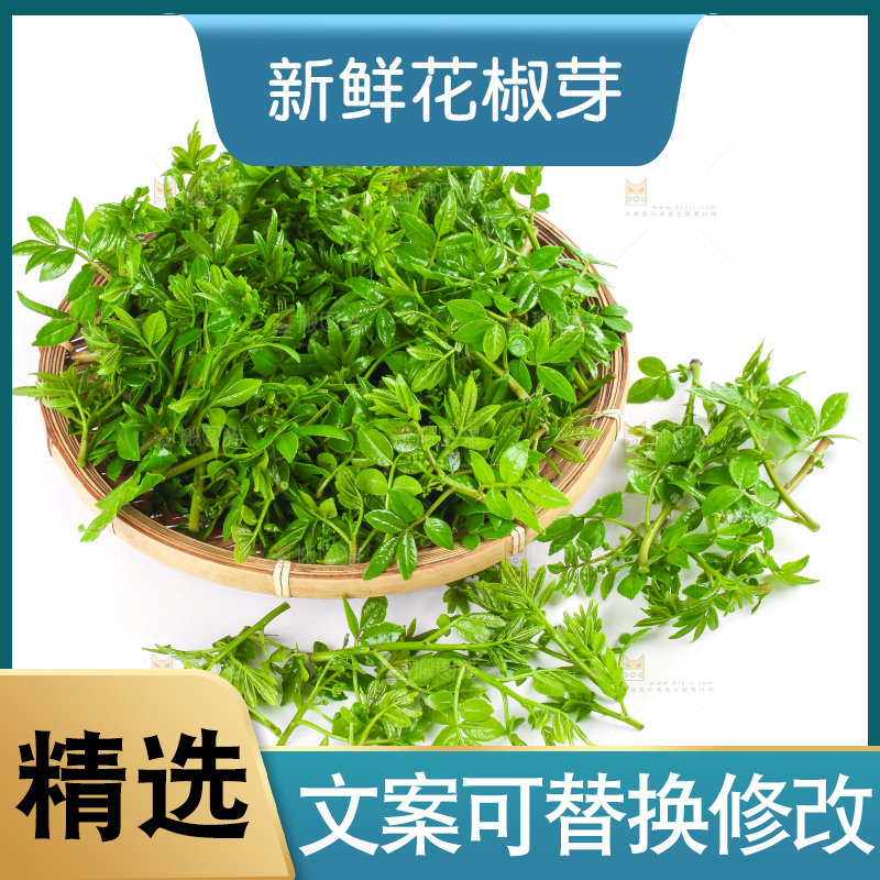 白底上放着一筐野生花椒嫩芽