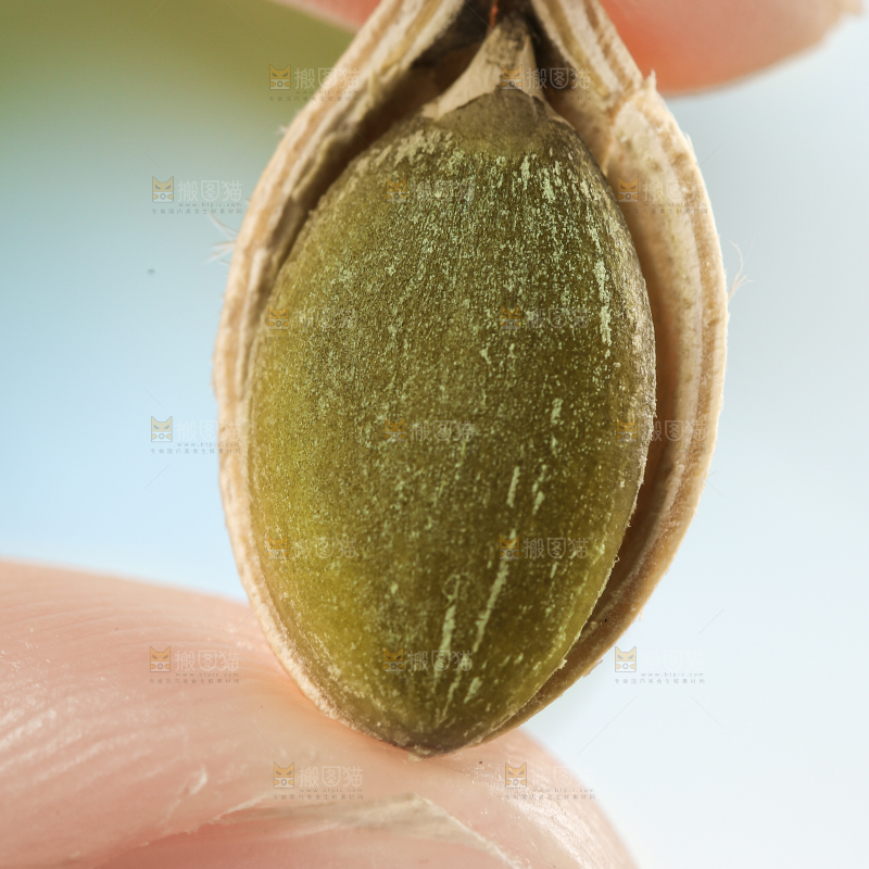 手拿剥皮的南瓜子