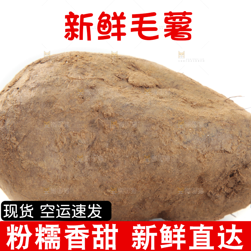 白底上的毛薯