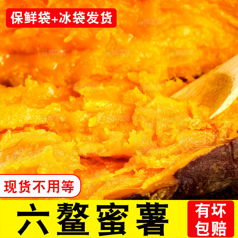 深底上的福建六鳌蜜薯