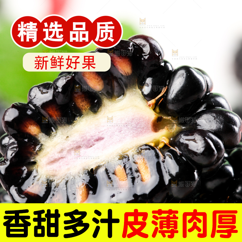 石板上的黑莓鲜果