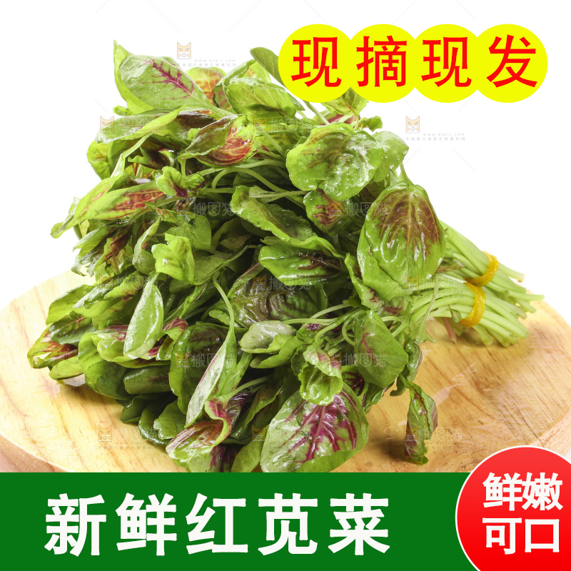 木底上的红苋菜