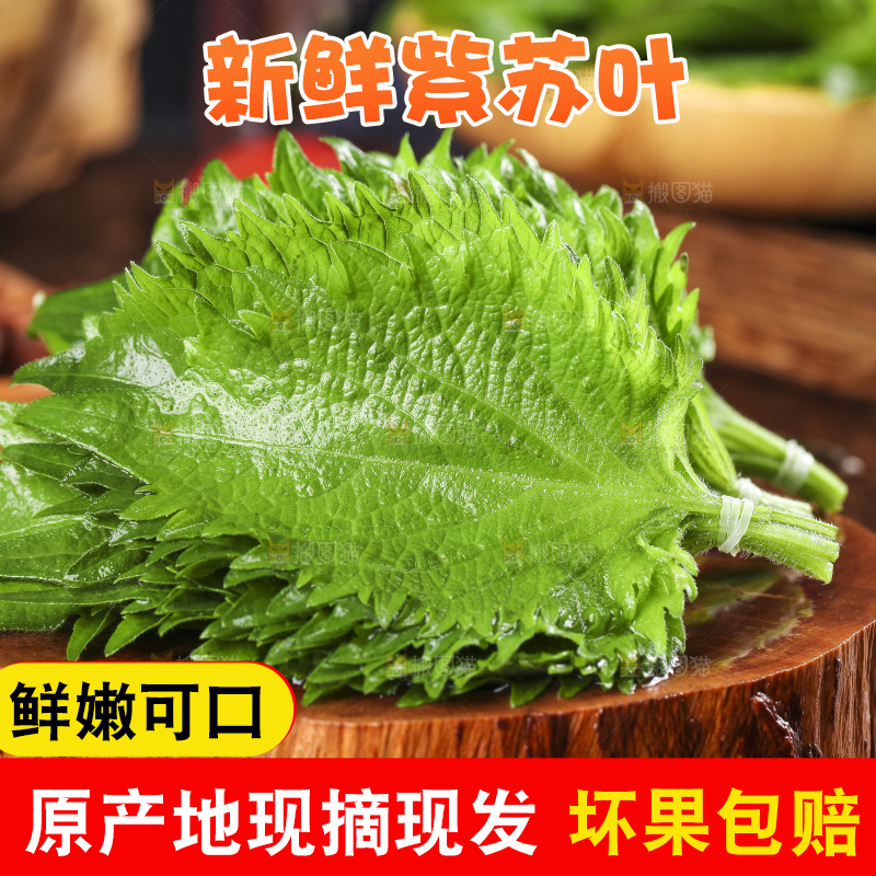 木底上的新鲜紫苏叶