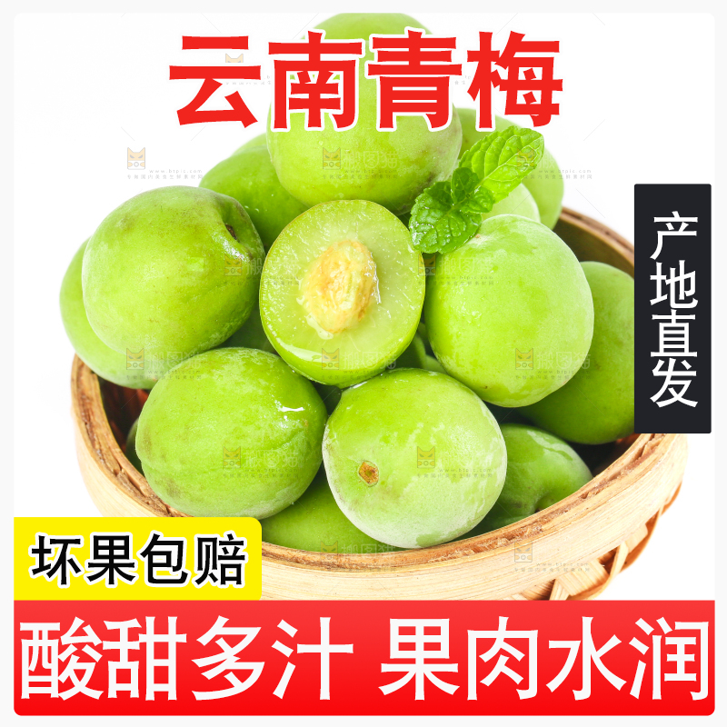 一筐高山青梅放在白底上