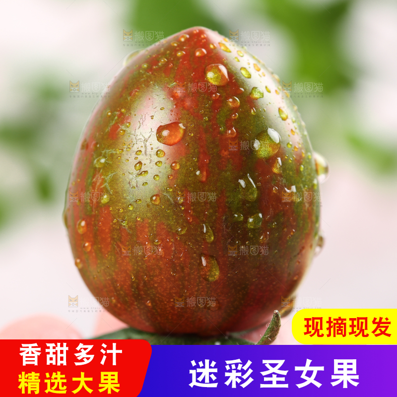 手拿迷彩小番茄