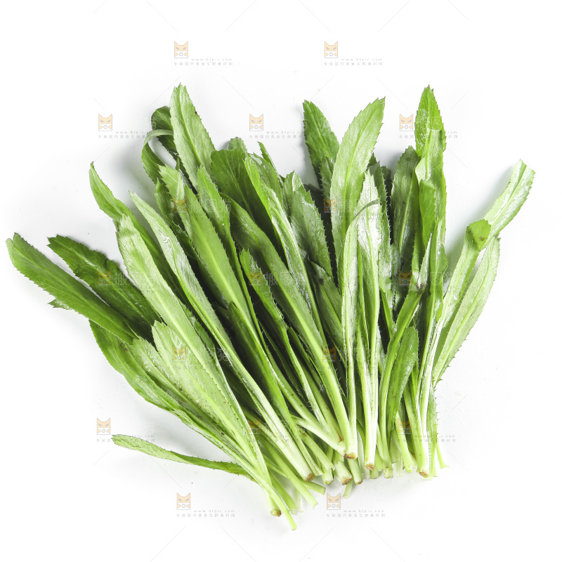 白底上的云南新鲜大香菜