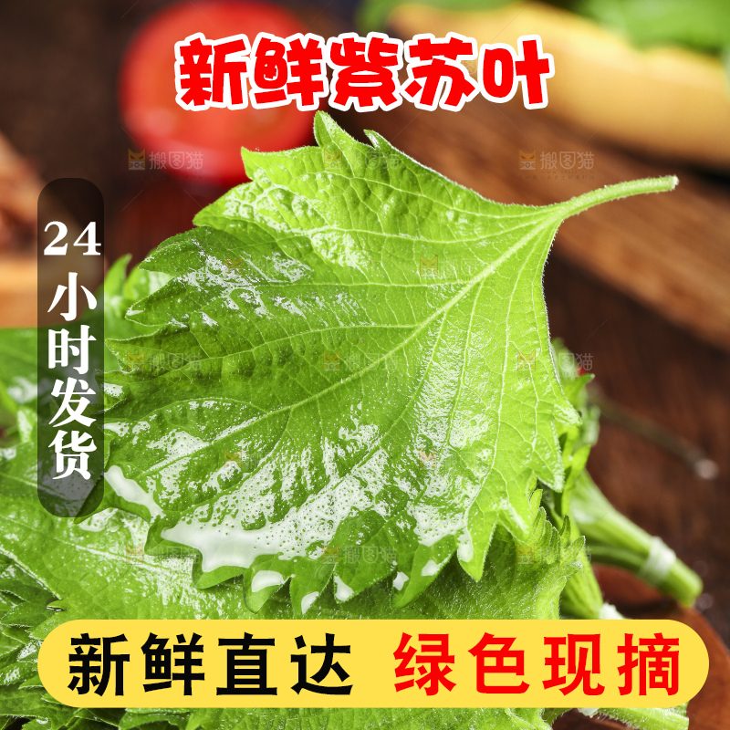 木底上的新鲜紫苏叶
